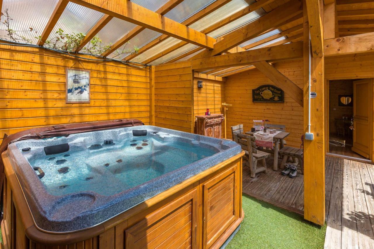 Gite&Spa Le Montagnard Saint-Jean-Saint-Nicolas Ngoại thất bức ảnh